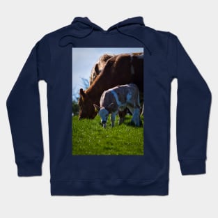 Put out to grass Hoodie